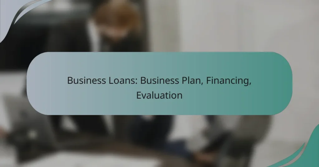 Business Loans: Business Plan, Financing, Evaluation