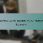 Business Loans: Business Plan, Financing, Evaluation