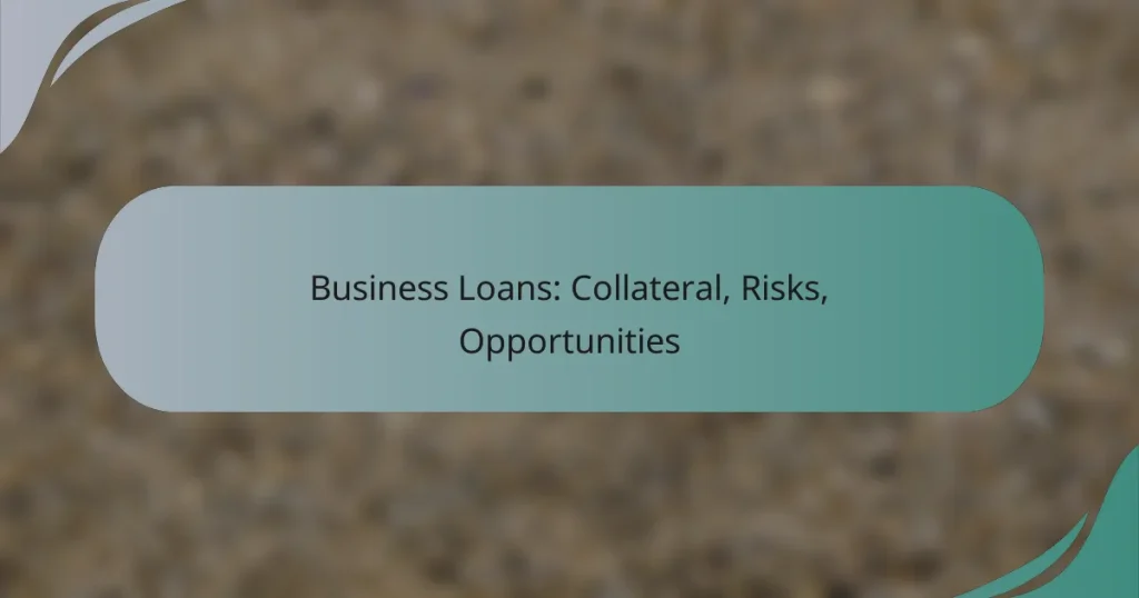 Business Loans: Collateral, Risks, Opportunities