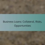 Business Loans: Collateral, Risks, Opportunities