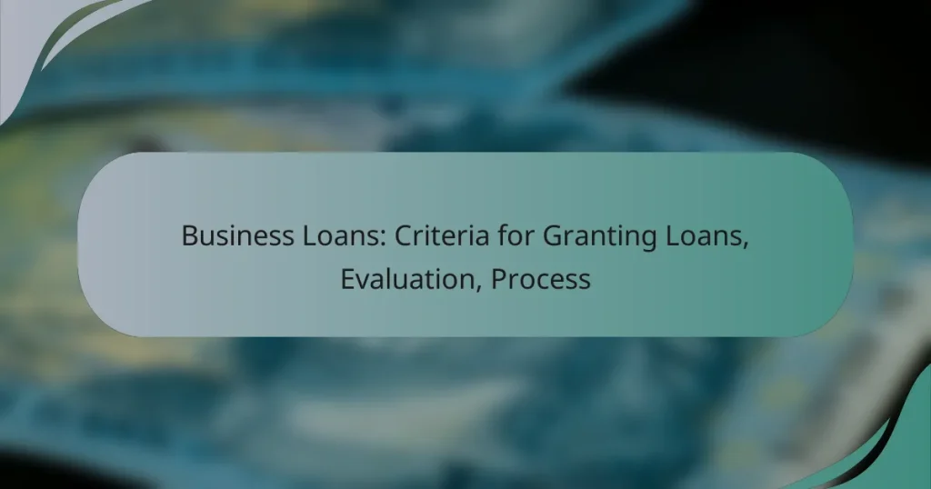 Business Loans: Criteria for Granting Loans, Evaluation, Process