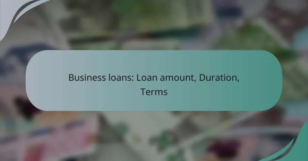 Business loans: Loan amount, Duration, Terms