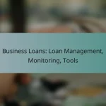 Business Loans: Loan Management, Monitoring, Tools