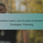 Business Loans: Use of Loans in Business, Strategies, Planning