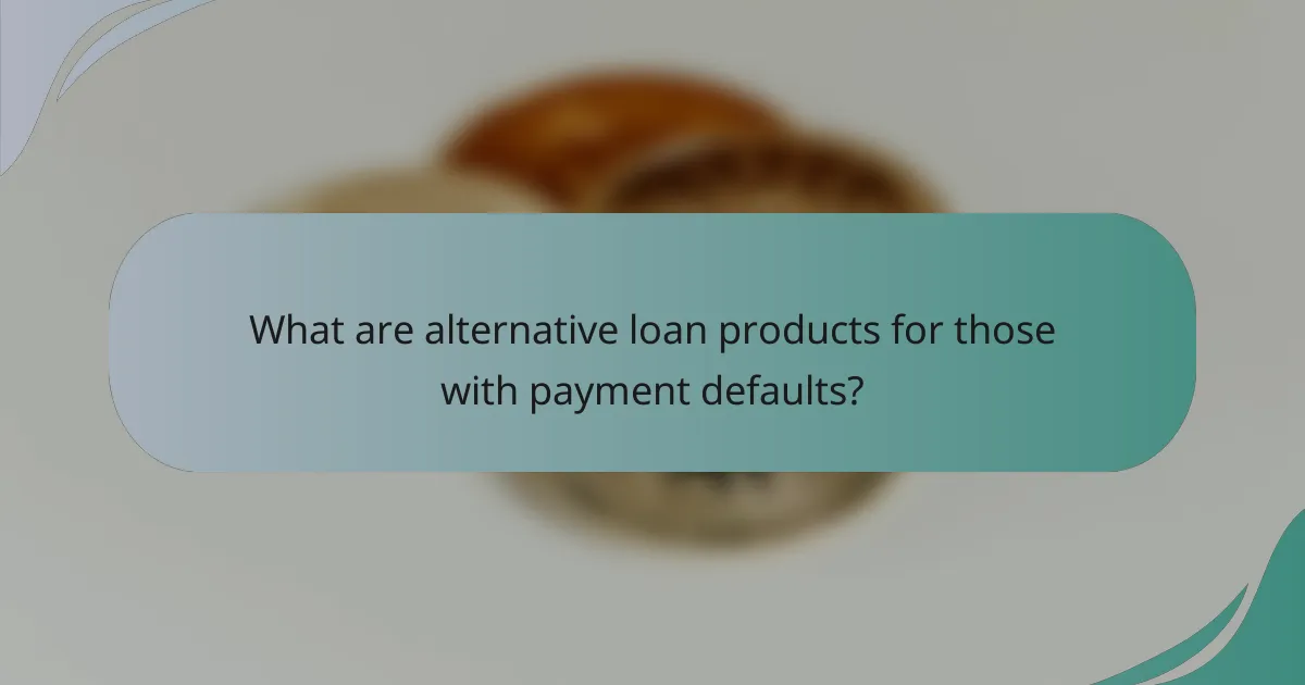 What are alternative loan products for those with payment defaults?