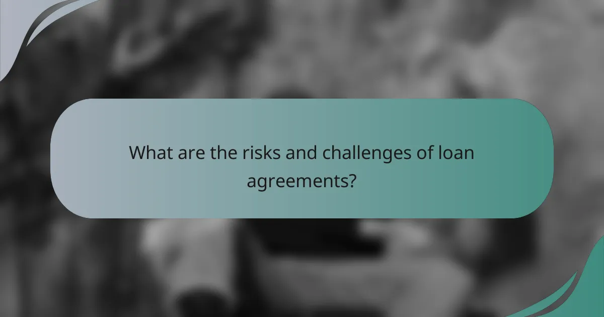 What are the risks and challenges of loan agreements?