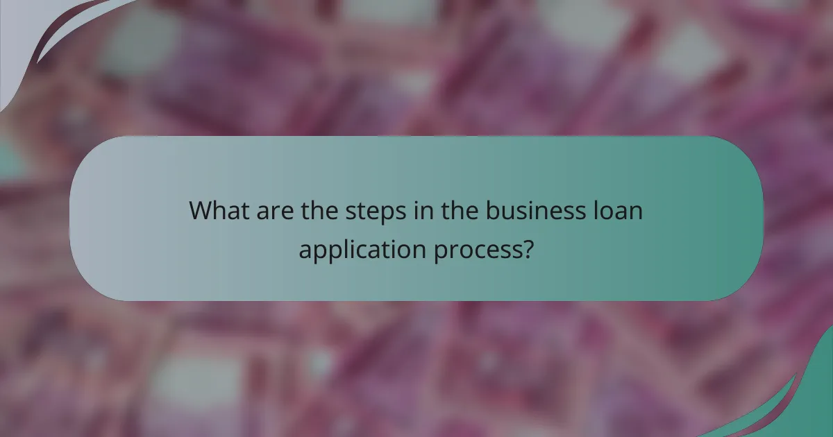 What are the steps in the business loan application process?