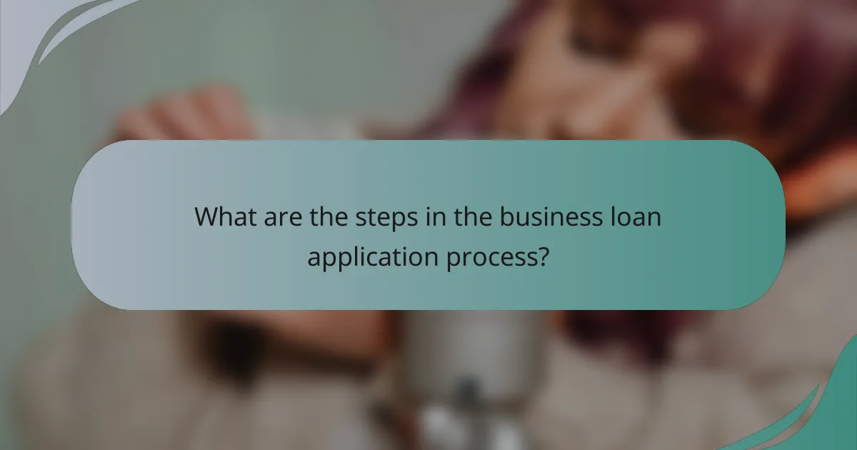 What are the steps in the business loan application process?