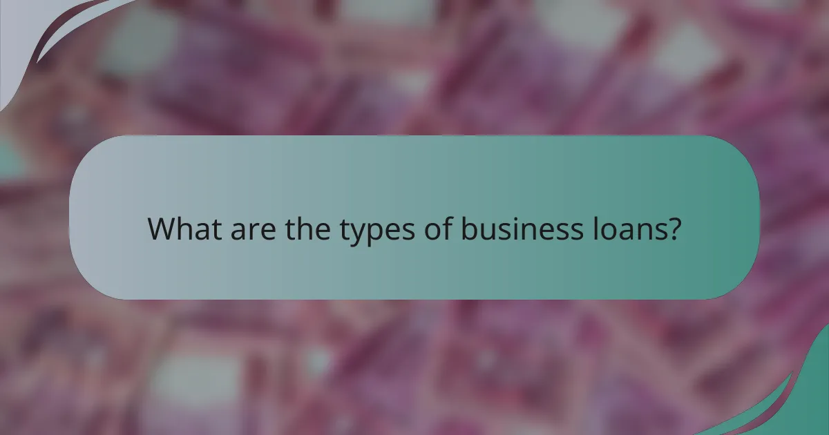 What are the types of business loans?