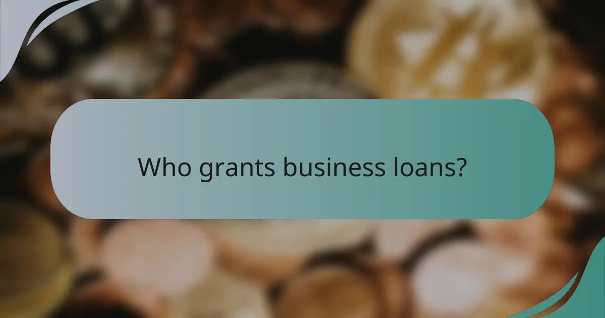 Who grants business loans?